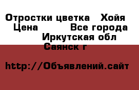 Отростки цветка  “Хойя“ › Цена ­ 300 - Все города  »    . Иркутская обл.,Саянск г.